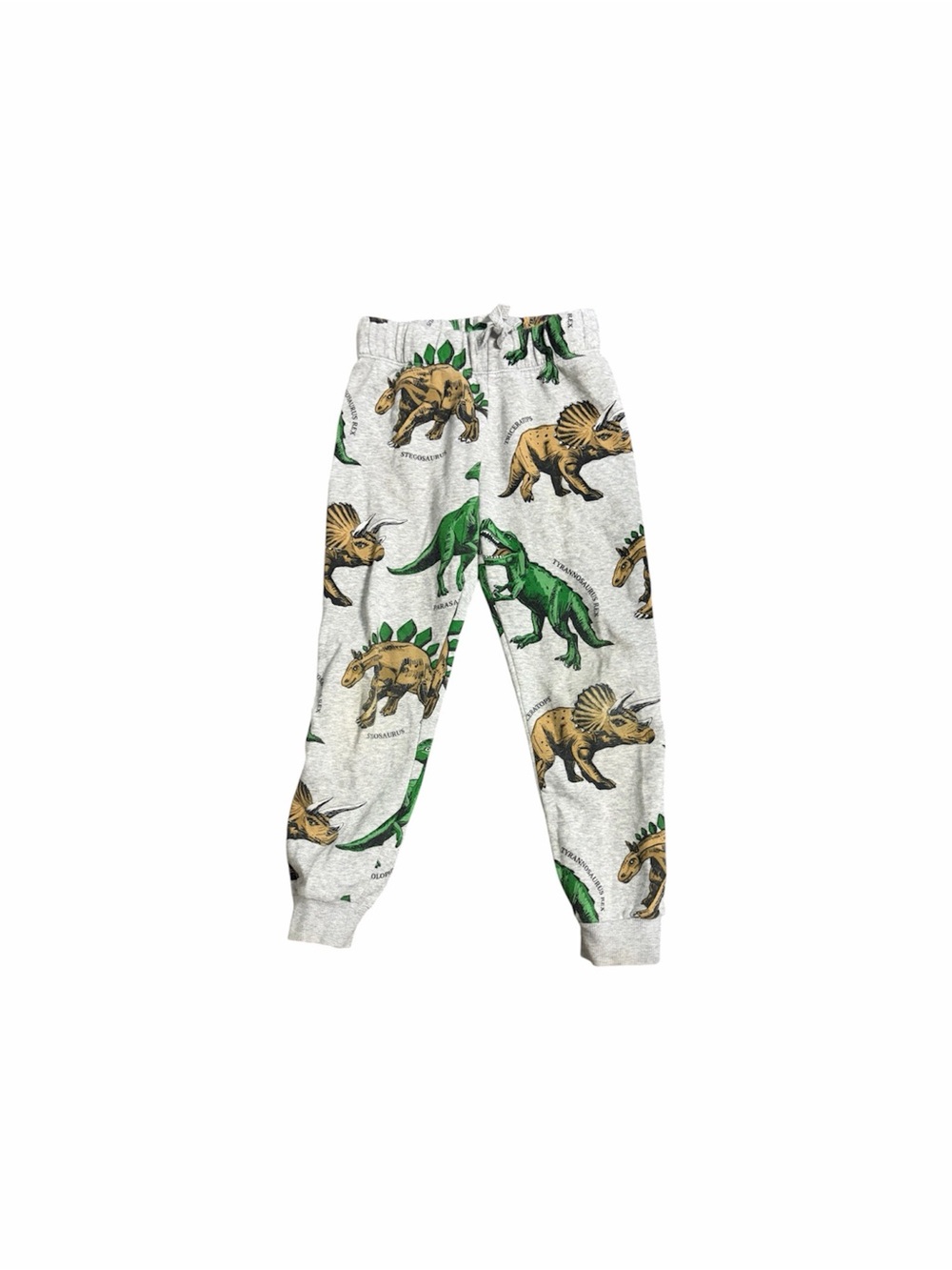 H&M Gray Sweatpants with Green & Brown Dinosaur Print